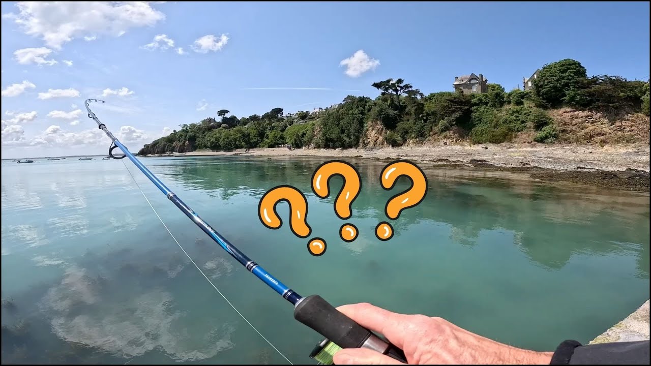 Pêche au Bouchon, à la Plombée et au Leurre : 3 techniques pour le Bord de Mer