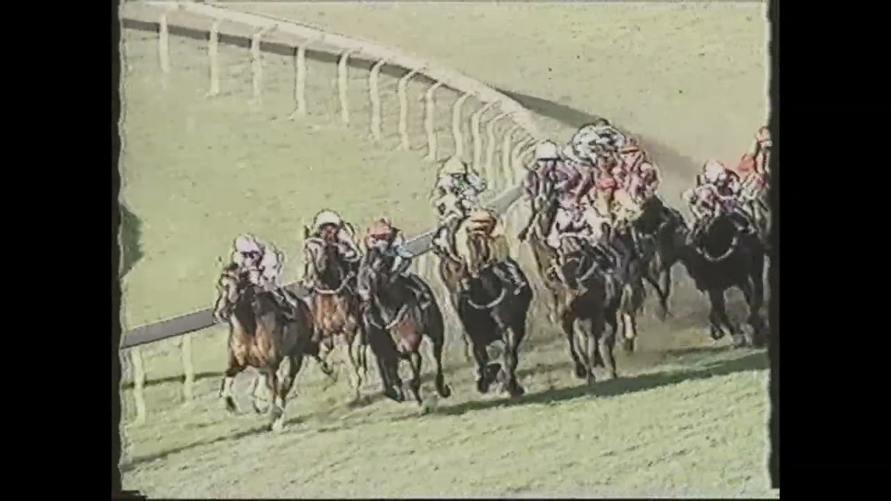 Hareeba - QTC Cup 1996