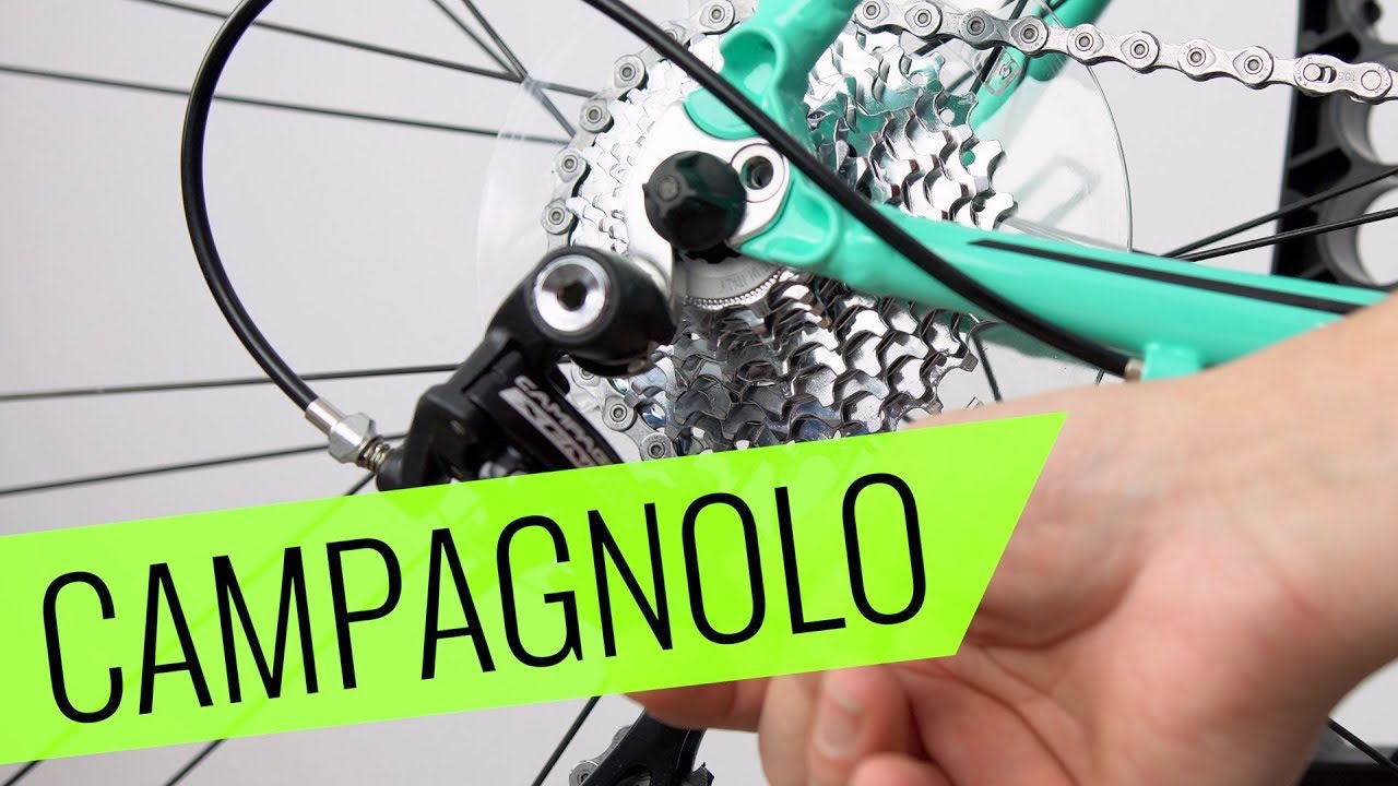 Campagnolo Xenon 10-fach Schaltung einstellen - einfach & schnell - Fahrrad.org