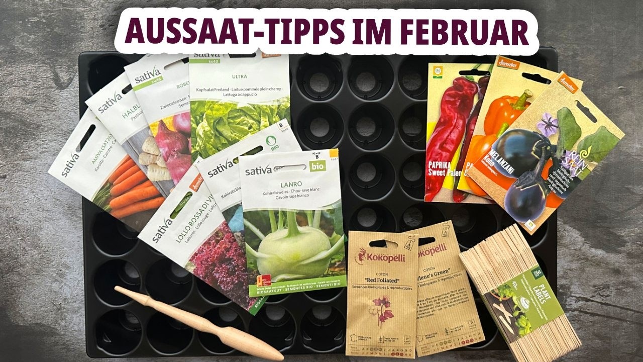Was säen wir im Februar? Meine Aussaattipps für eine erfolgreiche Gartensaison