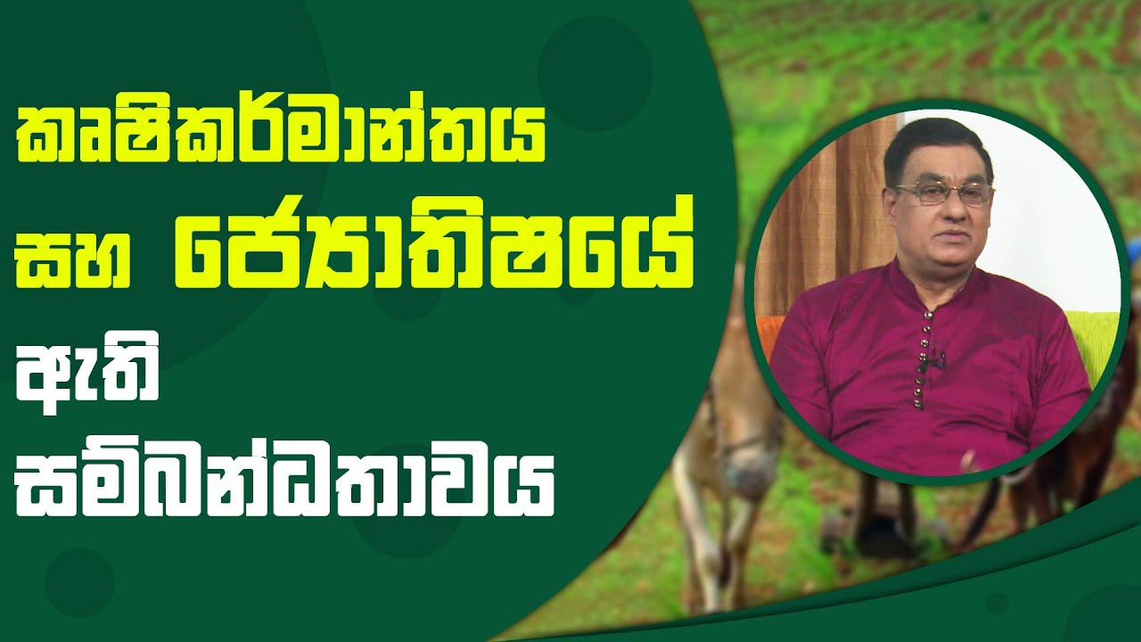 කෘෂිකර්මාන්තය සහ ජ්‍යොතිෂයේ ඇති සම්බන්ධතාවය | Piyum Vila | 16 - 11 - 2021 | SiyathaTV