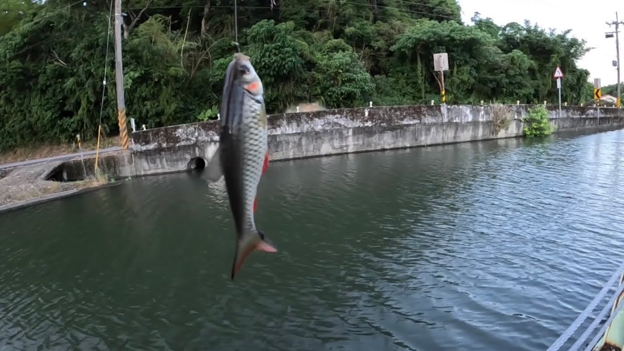 [宜蘭釣點分享]   宜蘭釣魚  宜蘭 礁溪  灌溉大排 釣魚  ！！ 記得 訂閱 才能收到第一手釣況資訊 謝謝！！