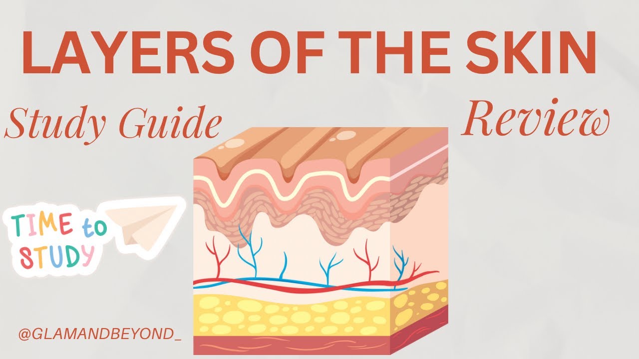 Layers Of the Skin