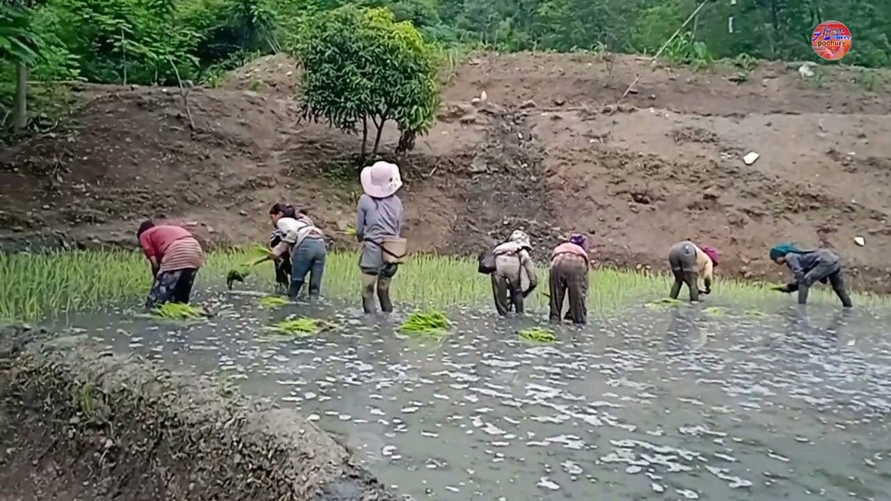Village life...new thewati.
