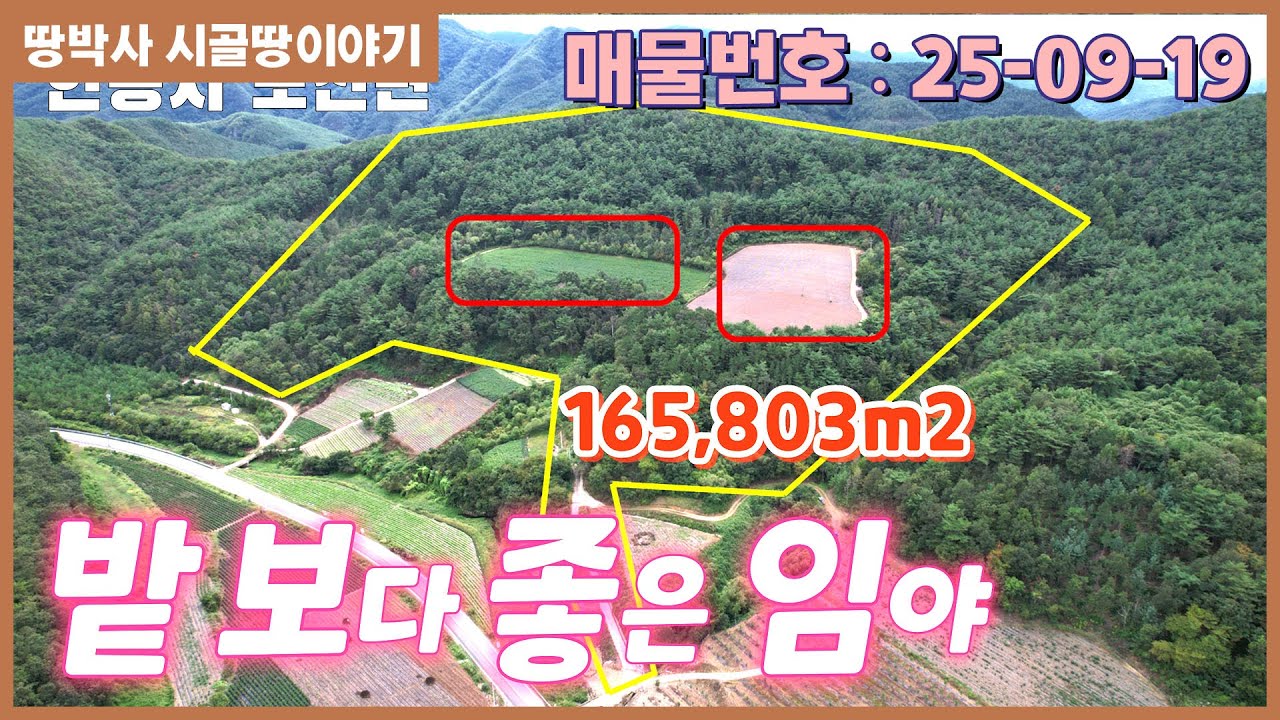(25.09.19) 낙동강이 구비쳐 흐르고 청량산을 마주 보고 있는 고즈넉한 시골풍경에 볕 좋고 접근성 좋은 청정지역 집 짓고 자연과 함께 전원생활 하기 좋은 산림경영부지.