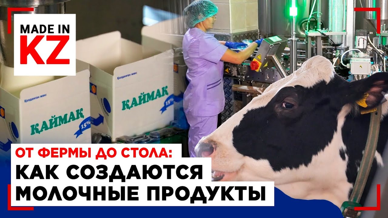 От фермы до стола: как создаются молочные продукты в Акмолинской области | Made in KZ