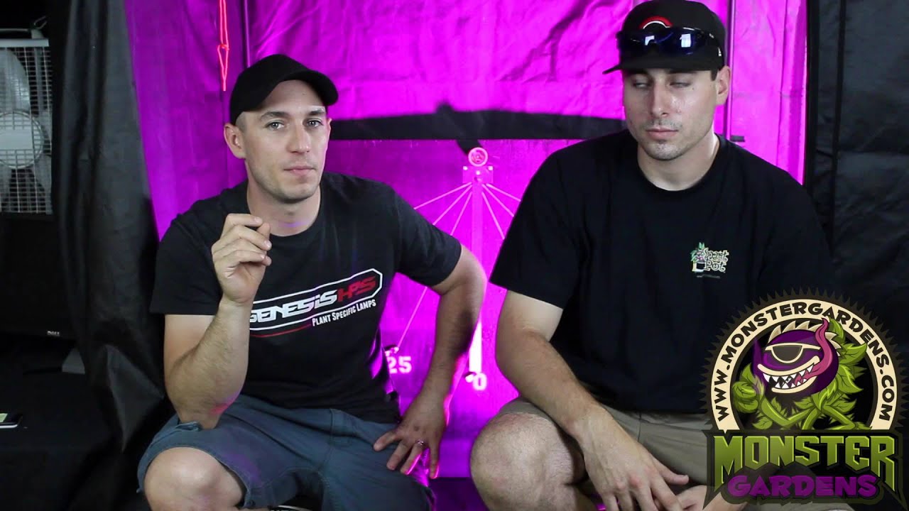 LED Versus HPS | Grow Light Comparison | Lumigrow vs. Hortilux 600 watt | Best 600w Light?