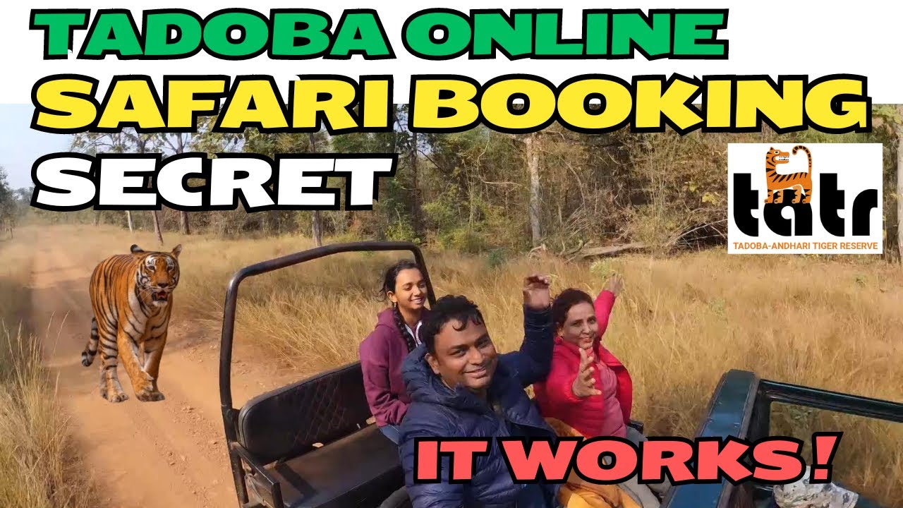 Unlock Tadoba: Online Booking Secrets at Tadoba - Kolara Eco Tourism | Rs 500 Safari Reservation !