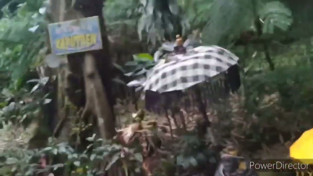 Berwisata ke Rowo Bayu lokasi KKN Desa penari