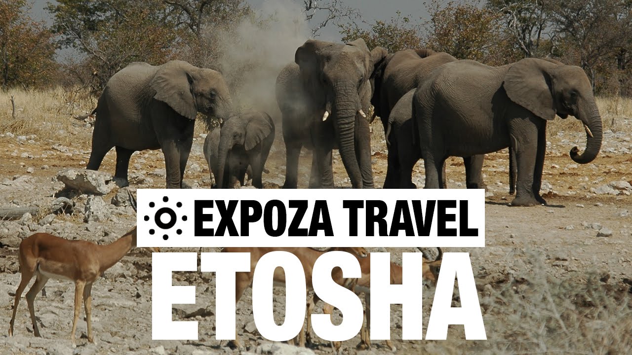 Etosha Vacation Travel Video Guide