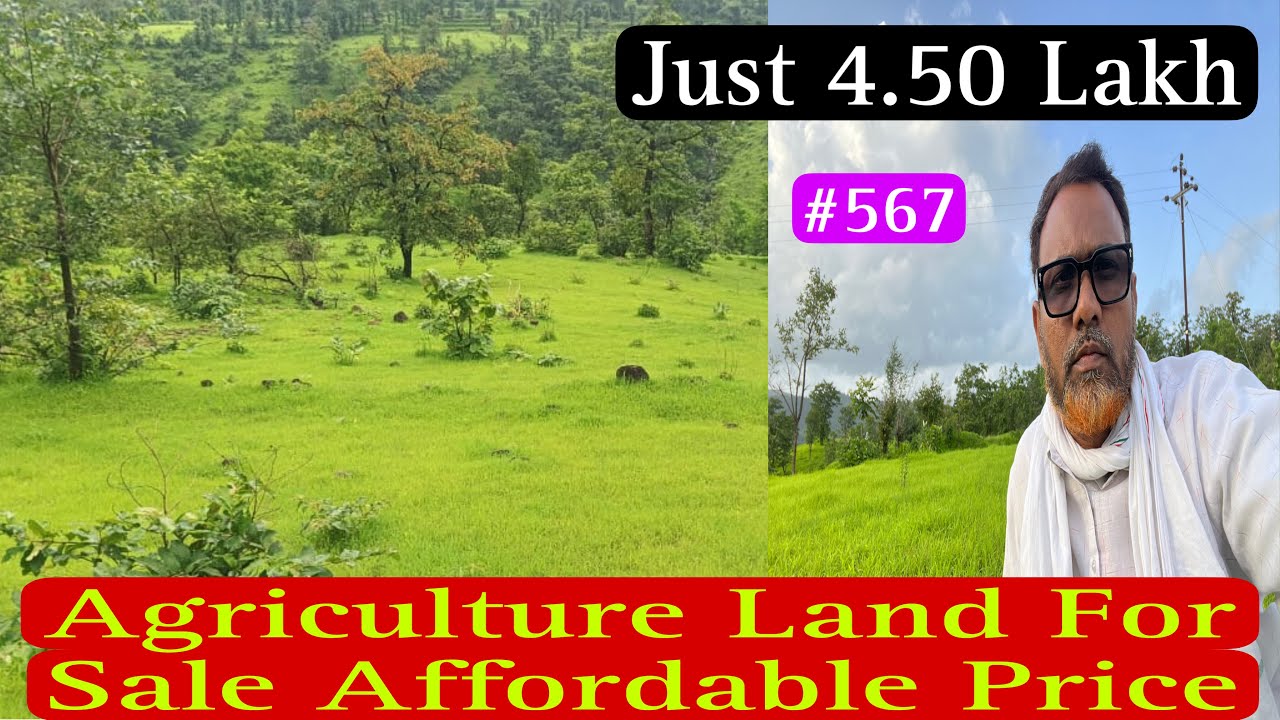 Agriculture Land For Sale In Kokan Maharashtra | Real Estate Videos #567 #sunderkokan #farmland