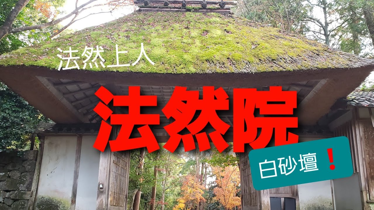 【京都】法然院に行ってきた。2020．12月中旬撮影