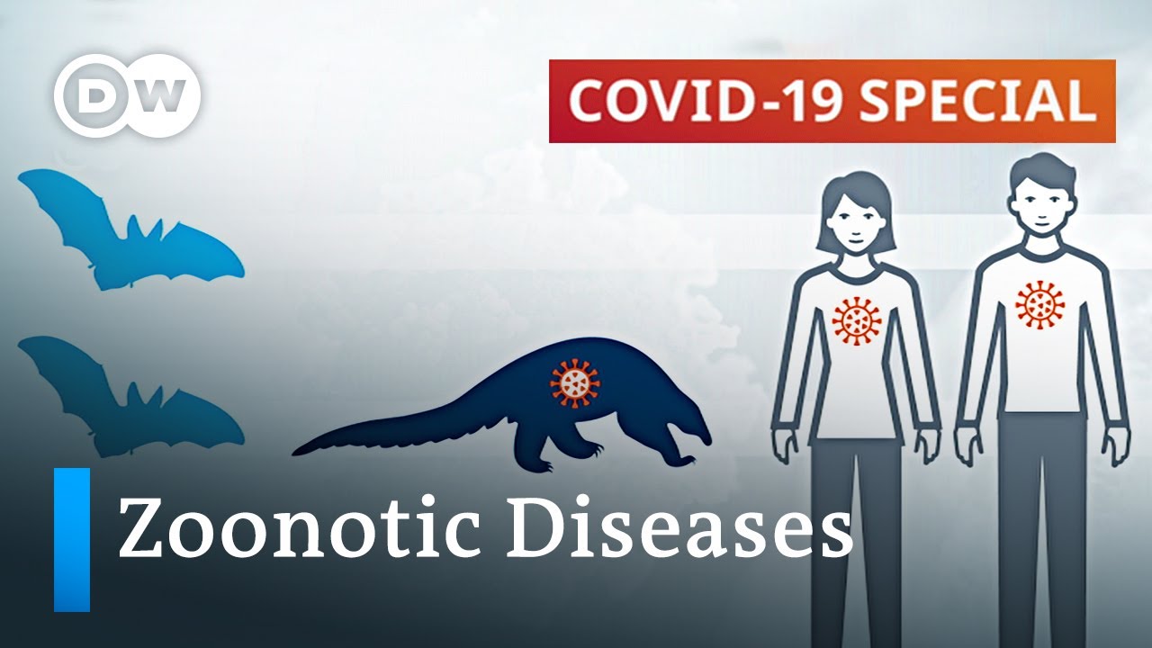 How to prevent the next zoonotic pandemic? | COVID-19 Special