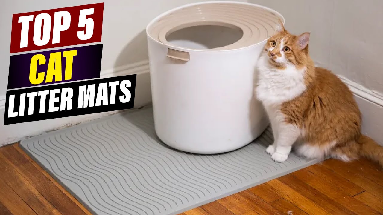 Best Cat Litter Mats: A Comparison of Features, Benefits, and Price