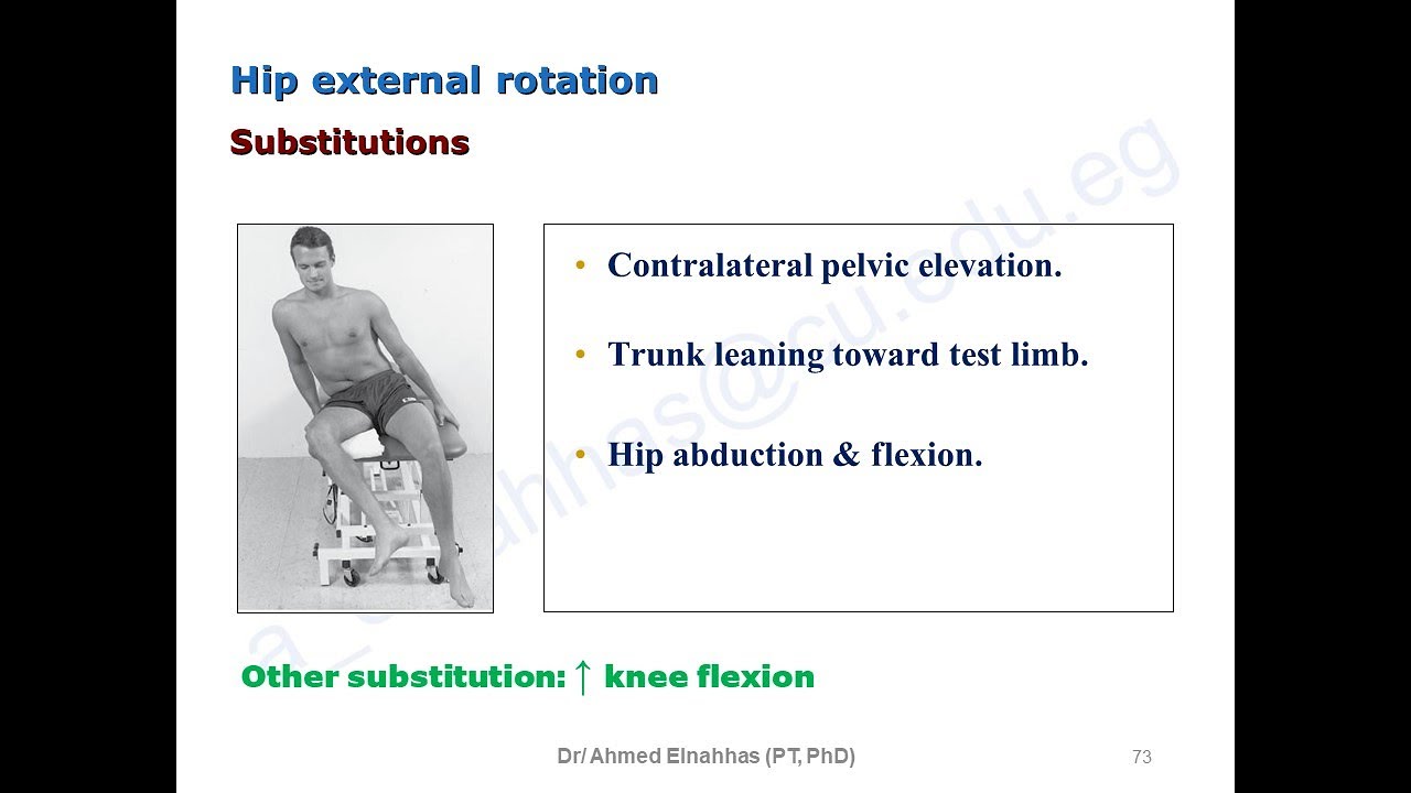 Manual Muscle Testing of the Hip