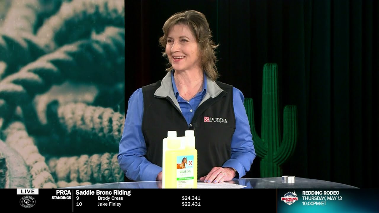 Why Do Horses Need Omega-3 Fatty Acids?