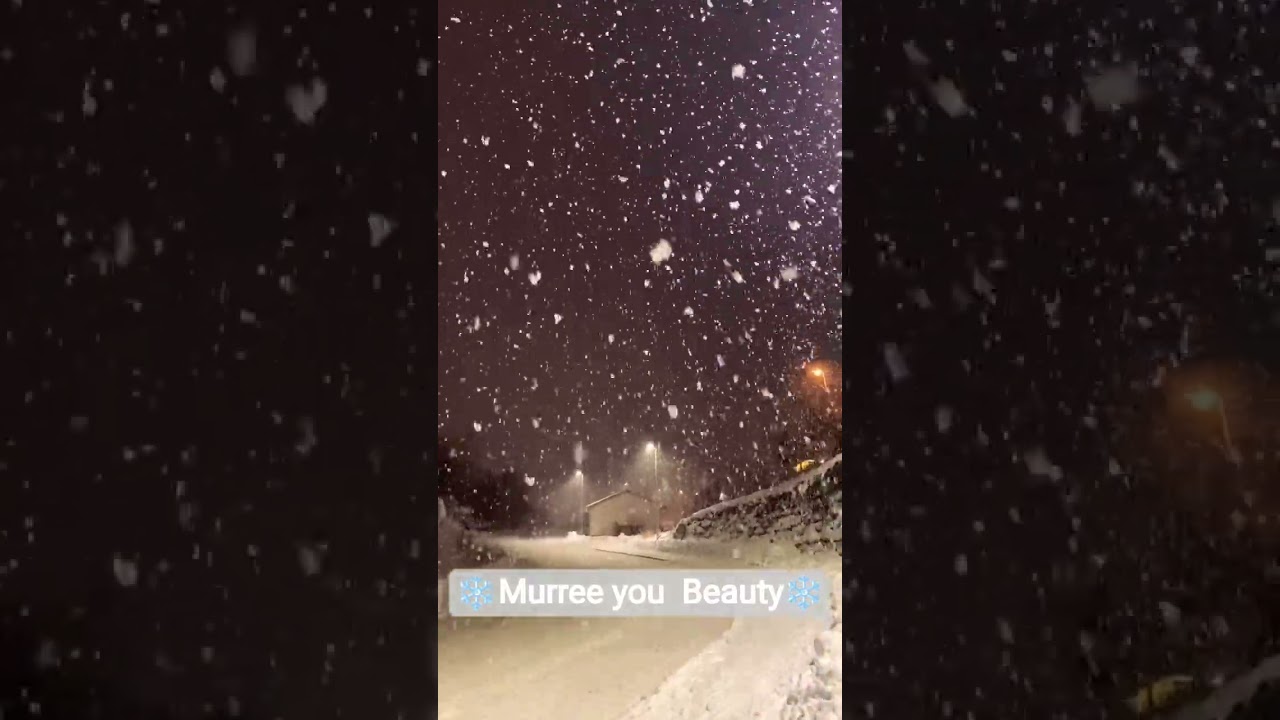 Murree snowfall 🌨️❄️ #trendingshorts #trending #viral #viralvideo