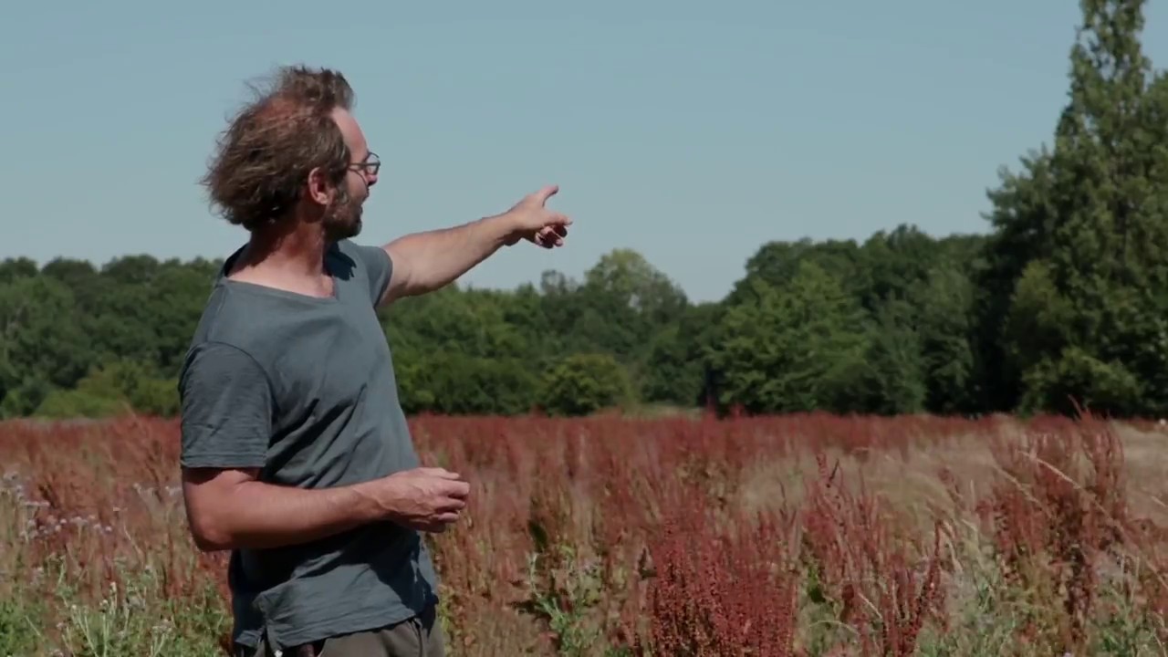 Visite du jardin de Eric Lenoir, lauréat 2018 du concours Jardiner Autrement