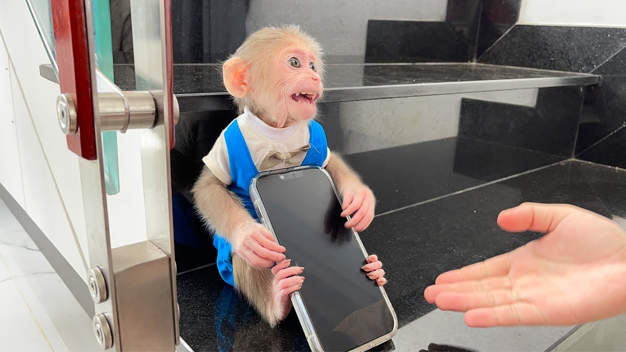 Cubis monkey cried and asked to call Aunt!