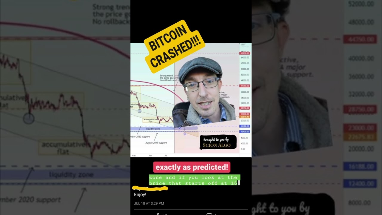 WORLD'S BEST BITCOIN TRADERS CALLED THE CRASHES! 📉 #shorts
