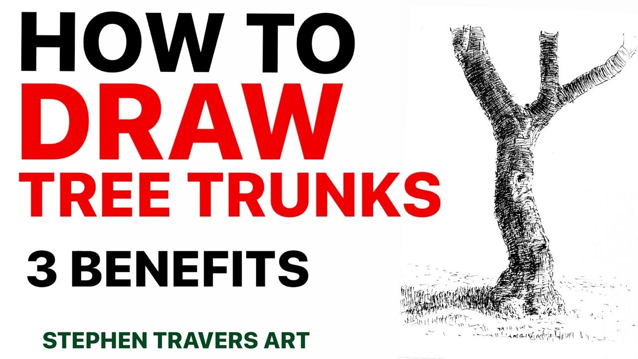 Grow Your Drawing Skills With Tree Trunks