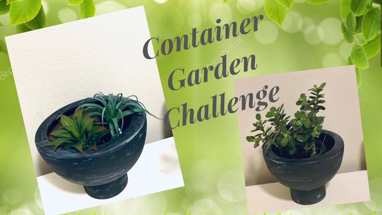 Container Garden Challenge 2020 || How to Plant Container Garden