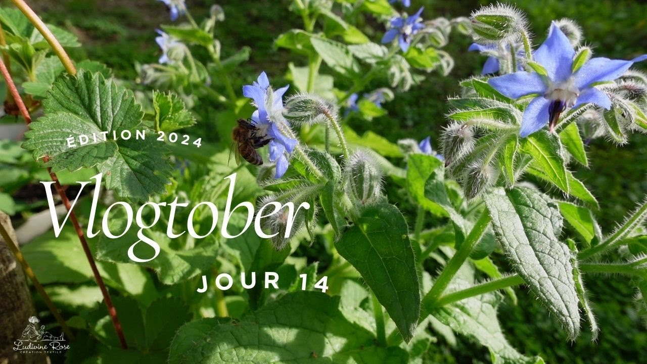 Vlogtober 2024 jour 14