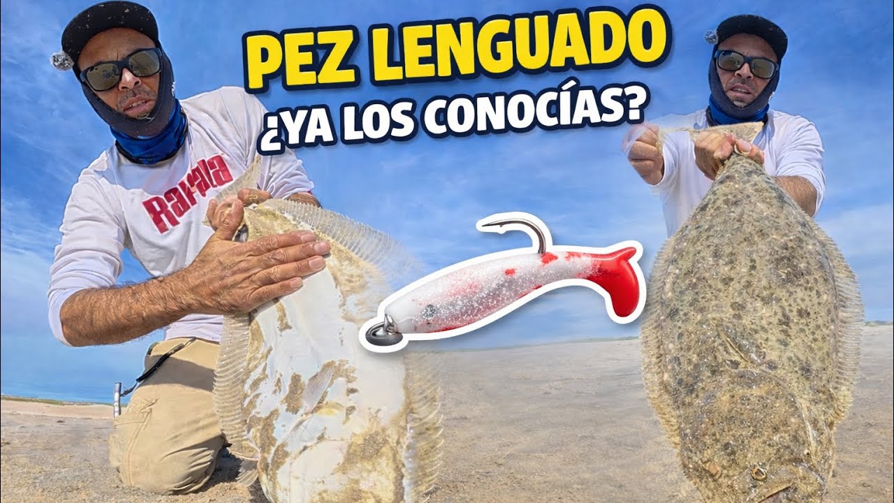 El Pez Raro de Isla Magdalena | ¿Ya lo conocías? 🐟