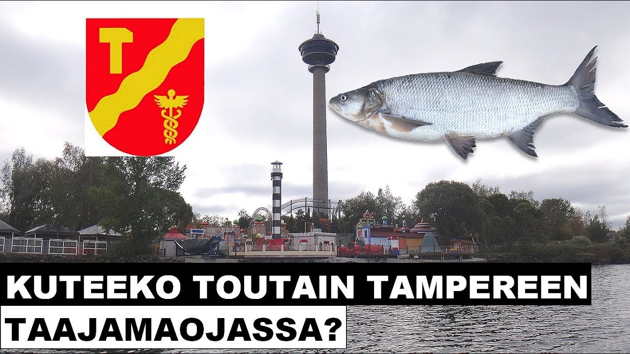Kuteeko toutain Tampereen taajamaojassa?
