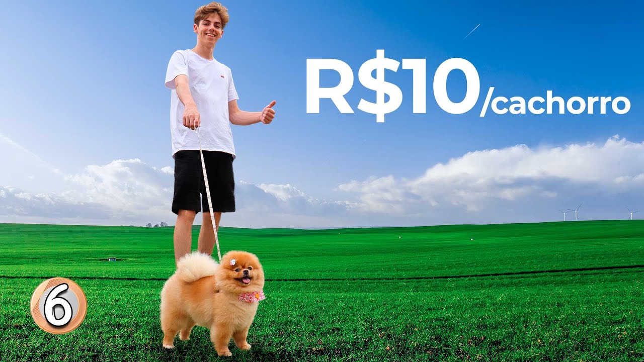 Sobrevivendo 1 Semana Com R$1 - Dia 6