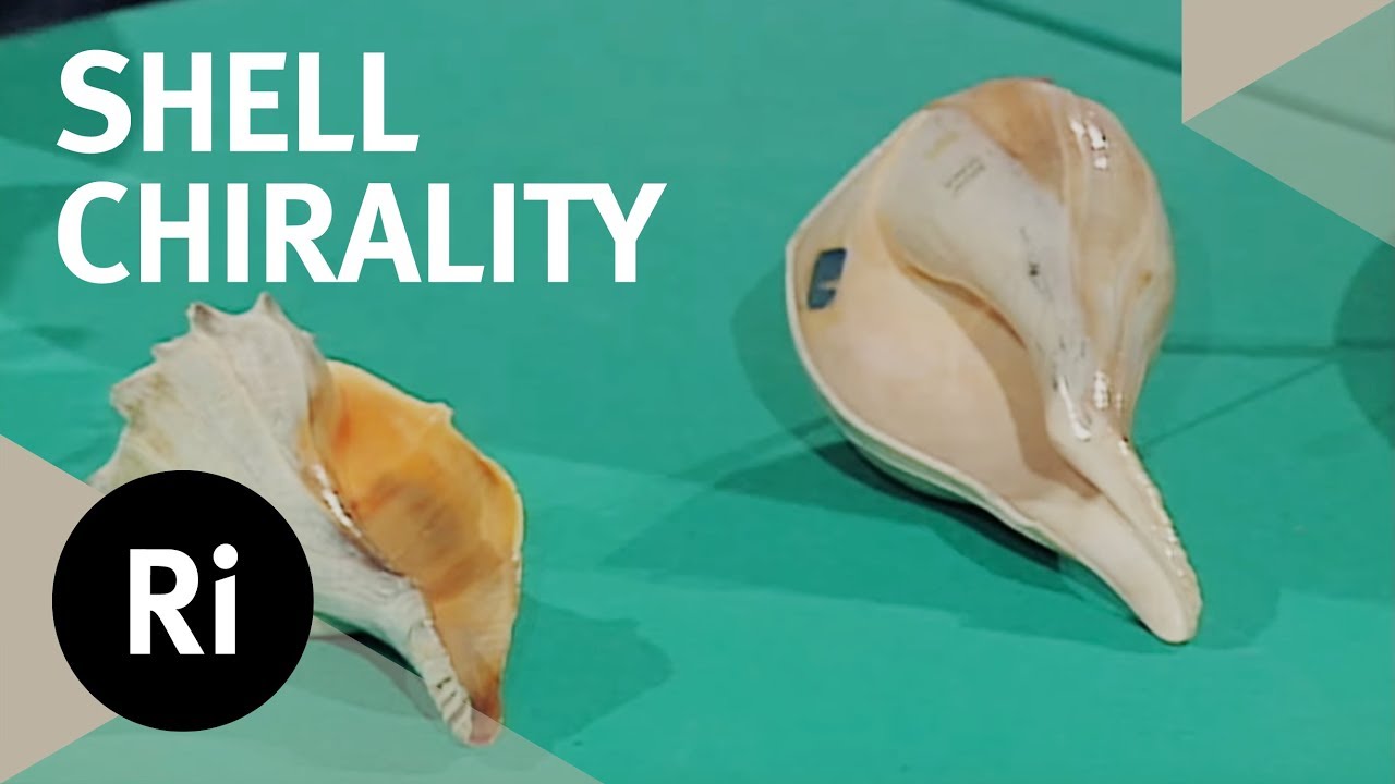 The Hidden Significance of Shell Chirality - Christmas Lectures with Charles Stirling