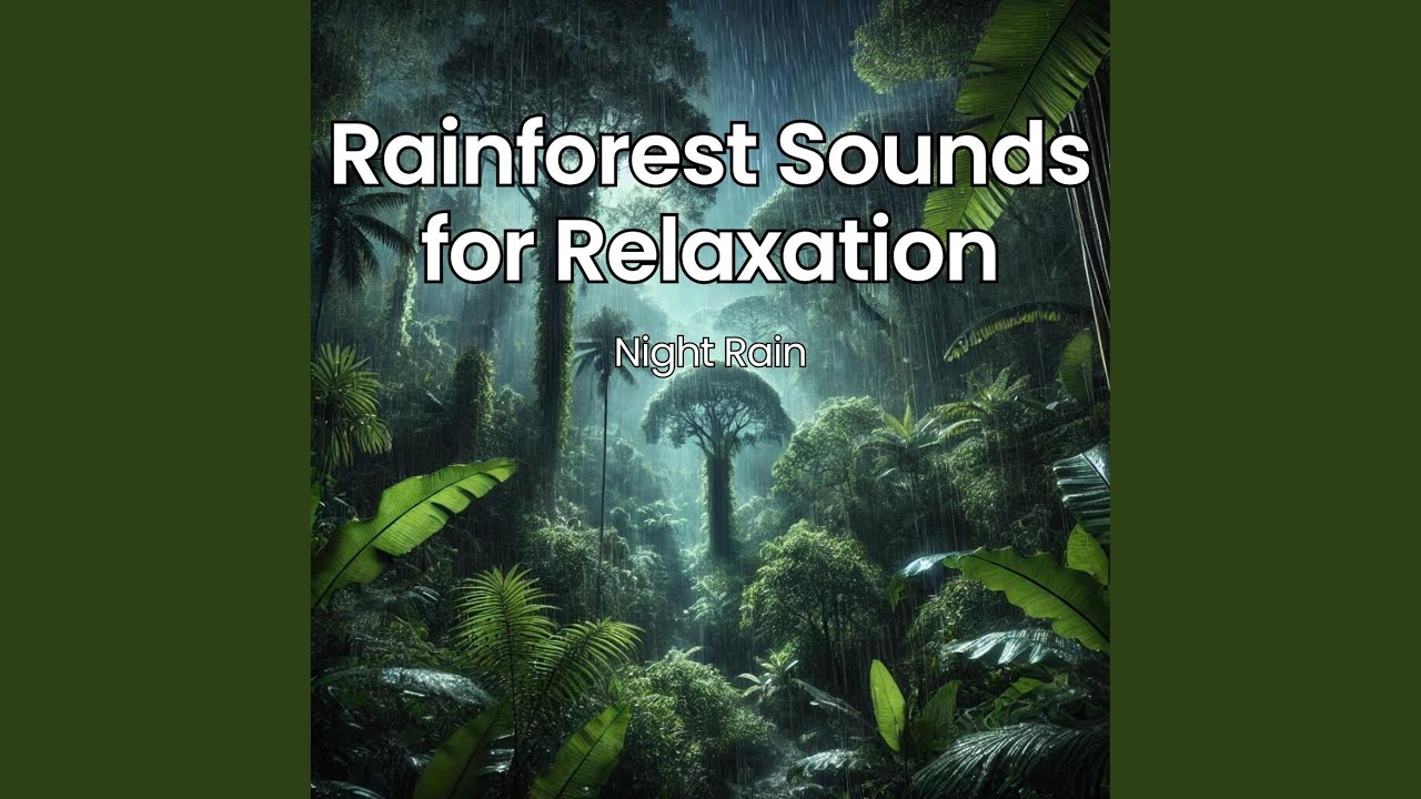Rain in Pine Forest
