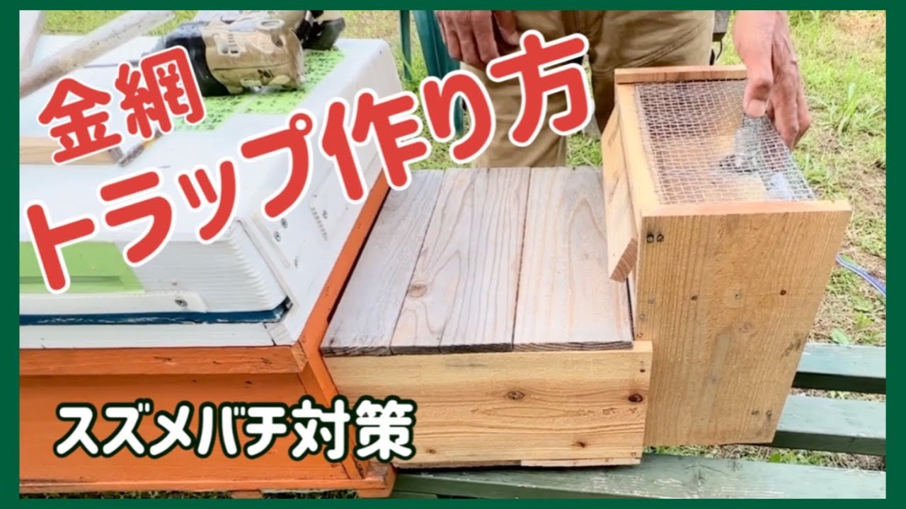 みつばちをスズメバチから守れ！　スズメバチ対策　完璧ガード金網トラップの作り方　#西洋ミツバチ ＃養蜂#西洋ミツバチ ＃スズメバチ