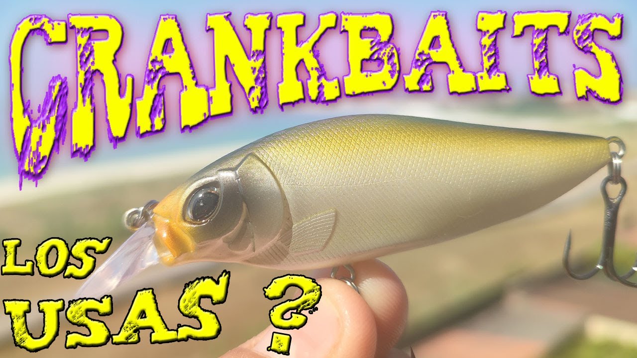 SEÑUELOS DE PESCA SPINNING muy EFECTIVOS para pescar LUBINAS con caña:🐟🎣 CRANKBAITS🎣🐟