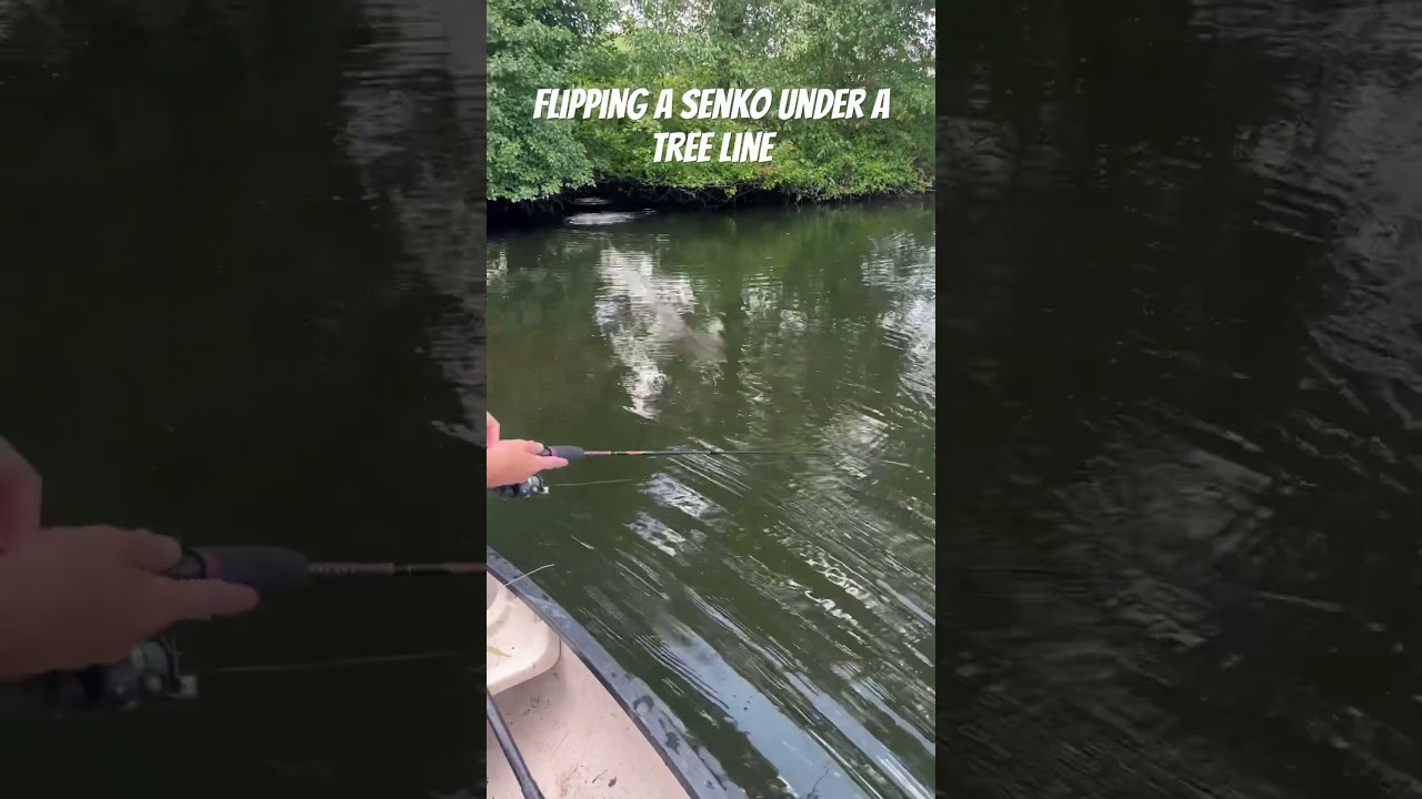 Flipping Lure Under Tree 