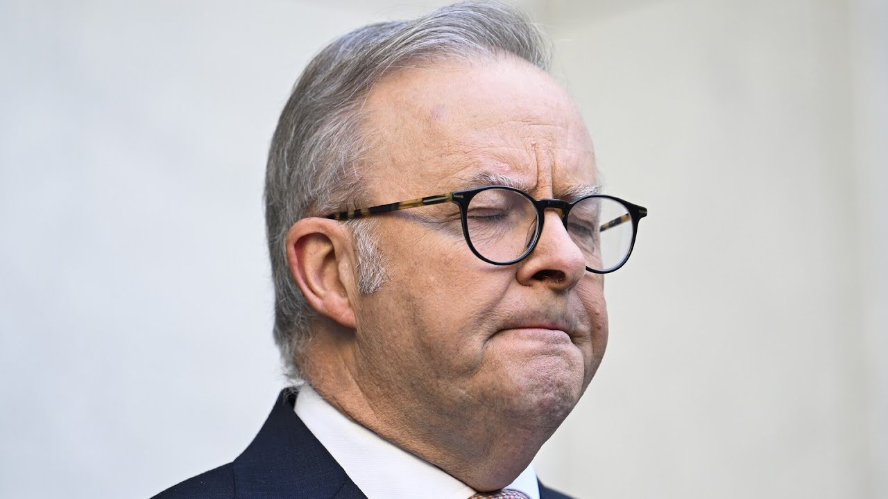 ‘His ego is dented’: Royal Commission will expose ‘failings’ of Albanese’s government