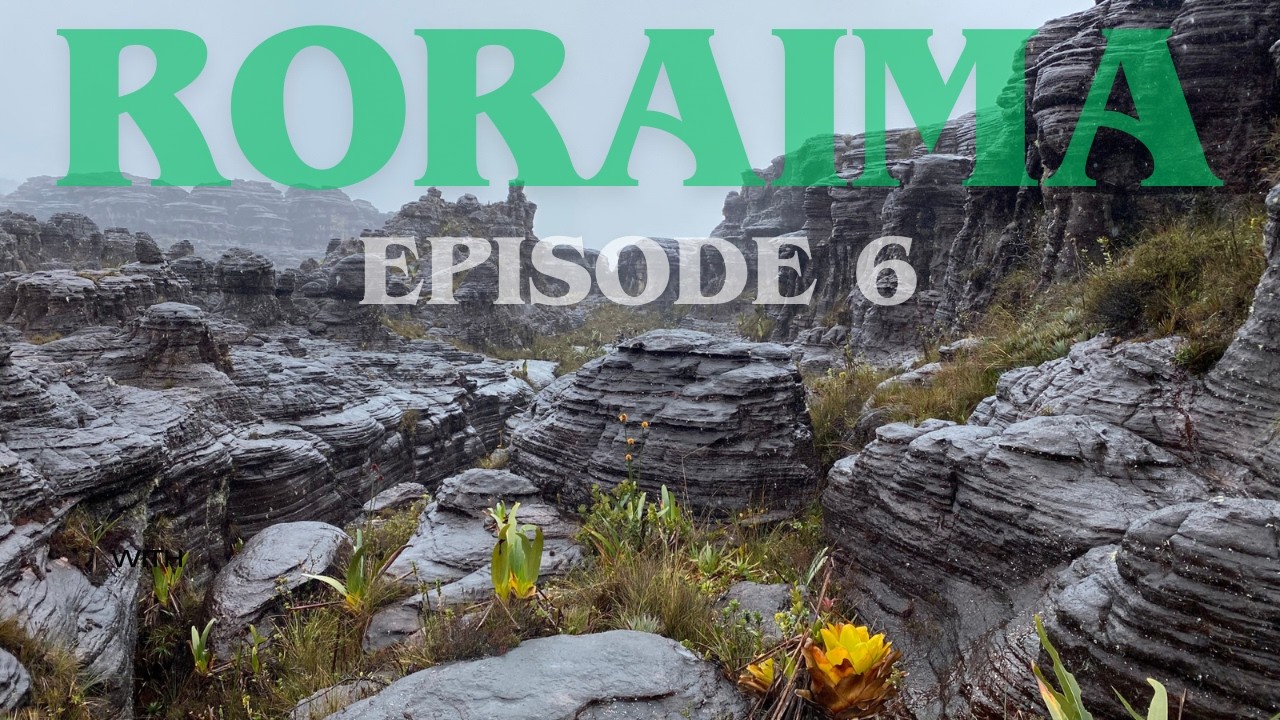 Episode 6 | Hiking Down from Mount Roraima | Adventure in Venezuela
