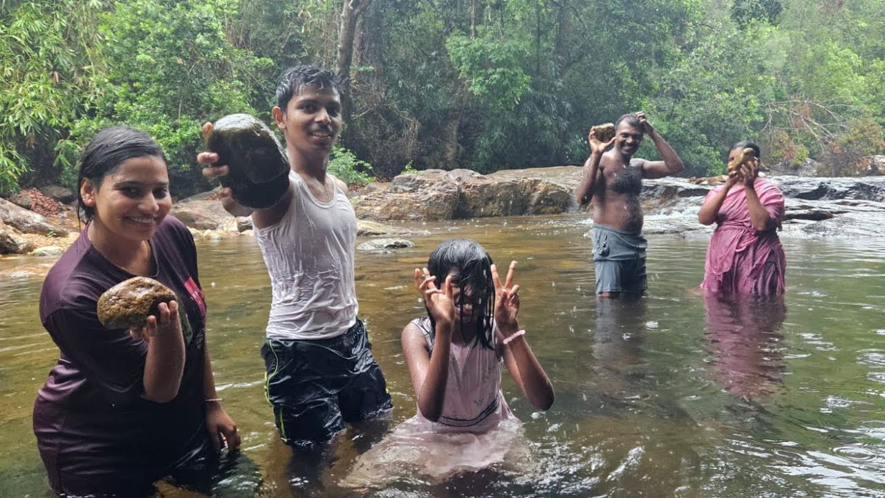 മീൻമുട്ടി