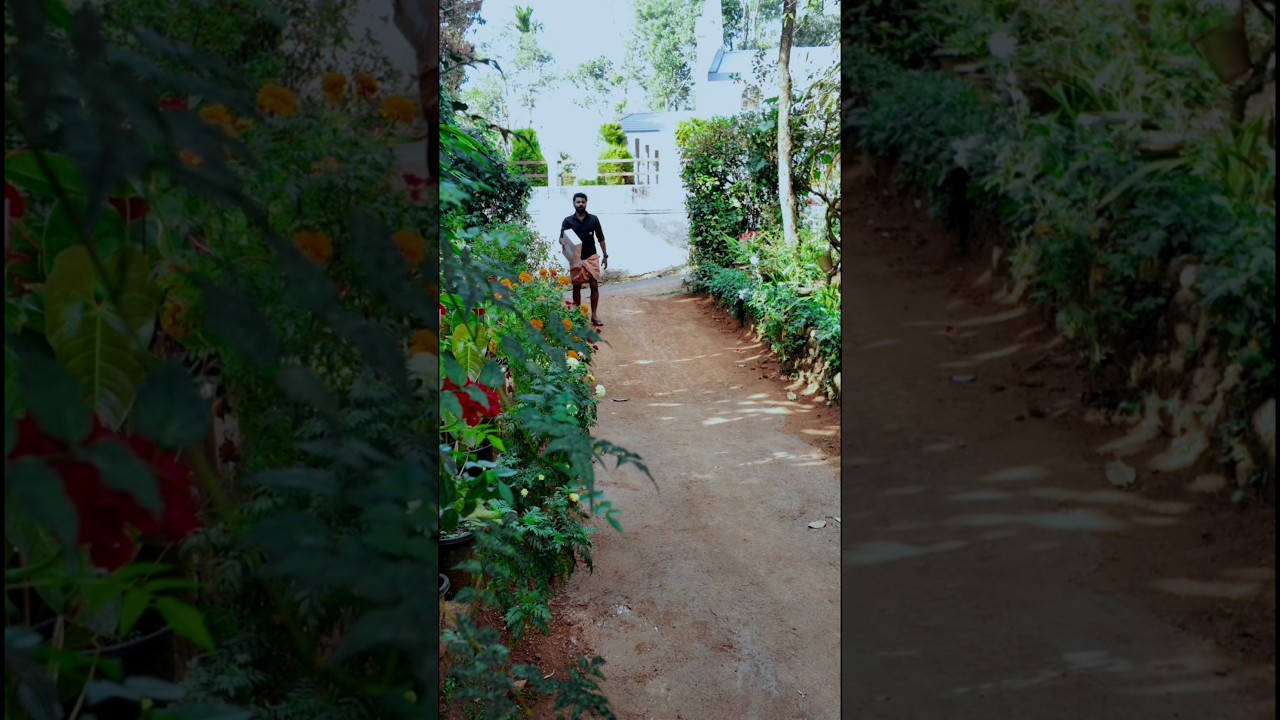 Special features of Idukki