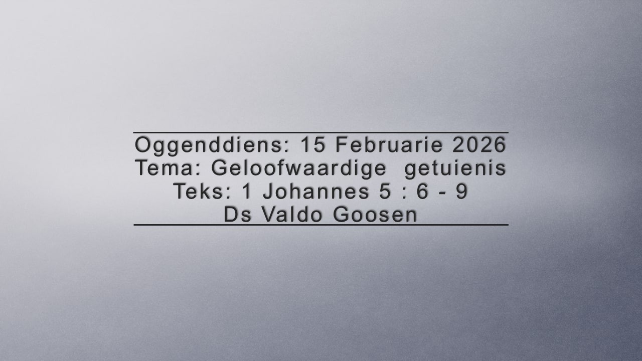 VG 20260215 - Geloofwaardige  getuienis