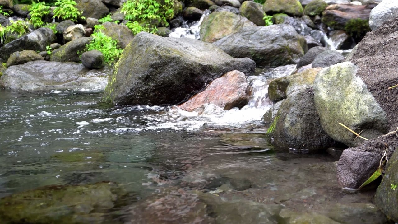 1 Hour of Calm Flowing River Sounds for Deep Sleeping, Relaxation, Work, Study