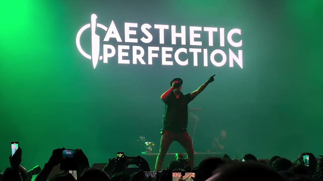 AESTHETIC PERFECTION - INTRO+THE GREAT DEPRESSION / E-TROPOLIS 2025 OBERHAUSEN 🇩🇪