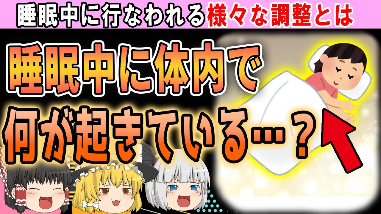 睡眠不足がいかにヤバいかわかる、睡眠中に体で起きている事とは&hellip;【ゆっくり解説】