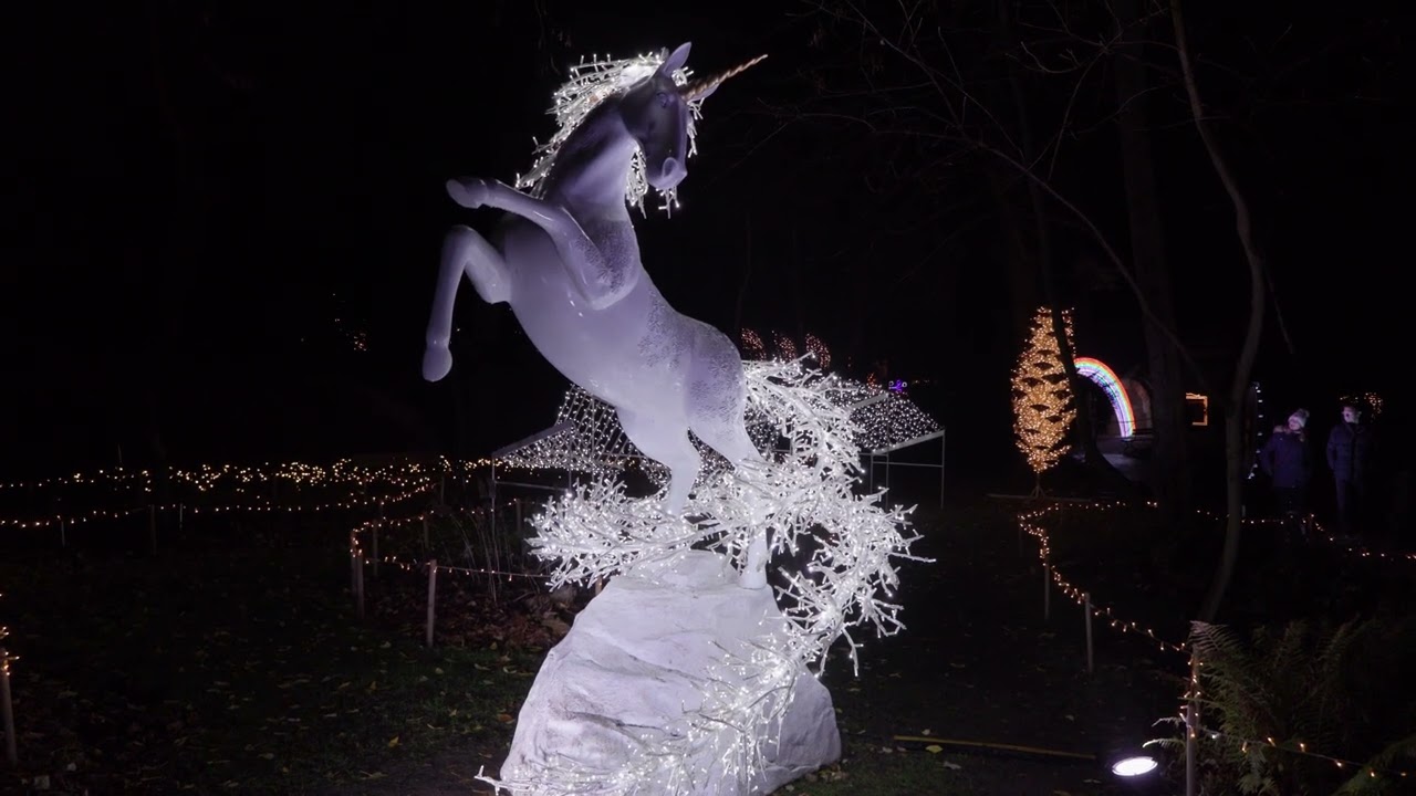 Magiczny Botaniczny 2025