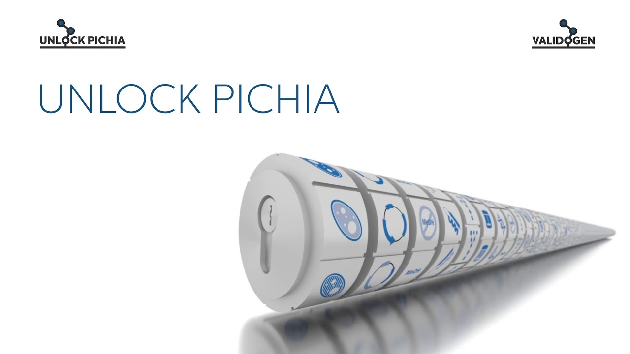 VALIDOGEN - UNLOCK PICHIA protein expression technology