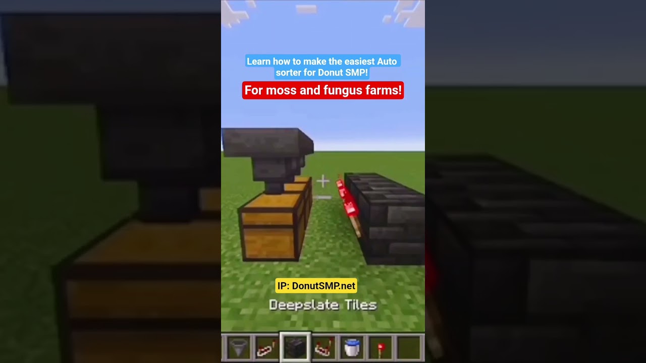 Best auto sorter for Donut SMP! ( Easy and fast! ) IP: DonutSMP.net