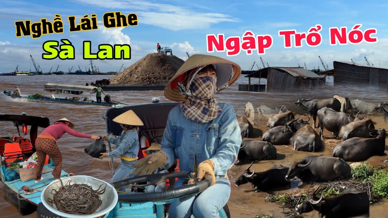 Ngập trổ nóc chị lái ghe Sà Lan 24/24 - Biên giới Campuchia cá đổ đống nhiều hơn rau cải