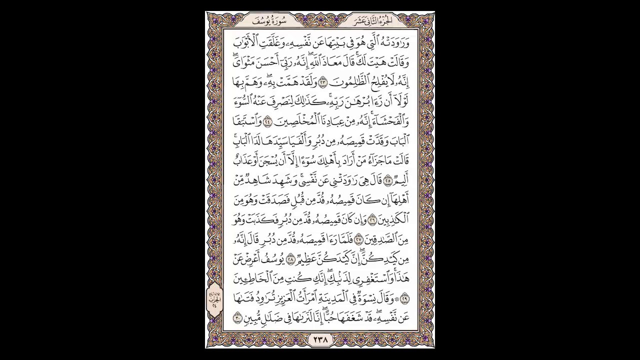 سورة يوسف - الشيخ خالد الجليل - صفحة 238 للحفظ مكررة ثلاث مرات