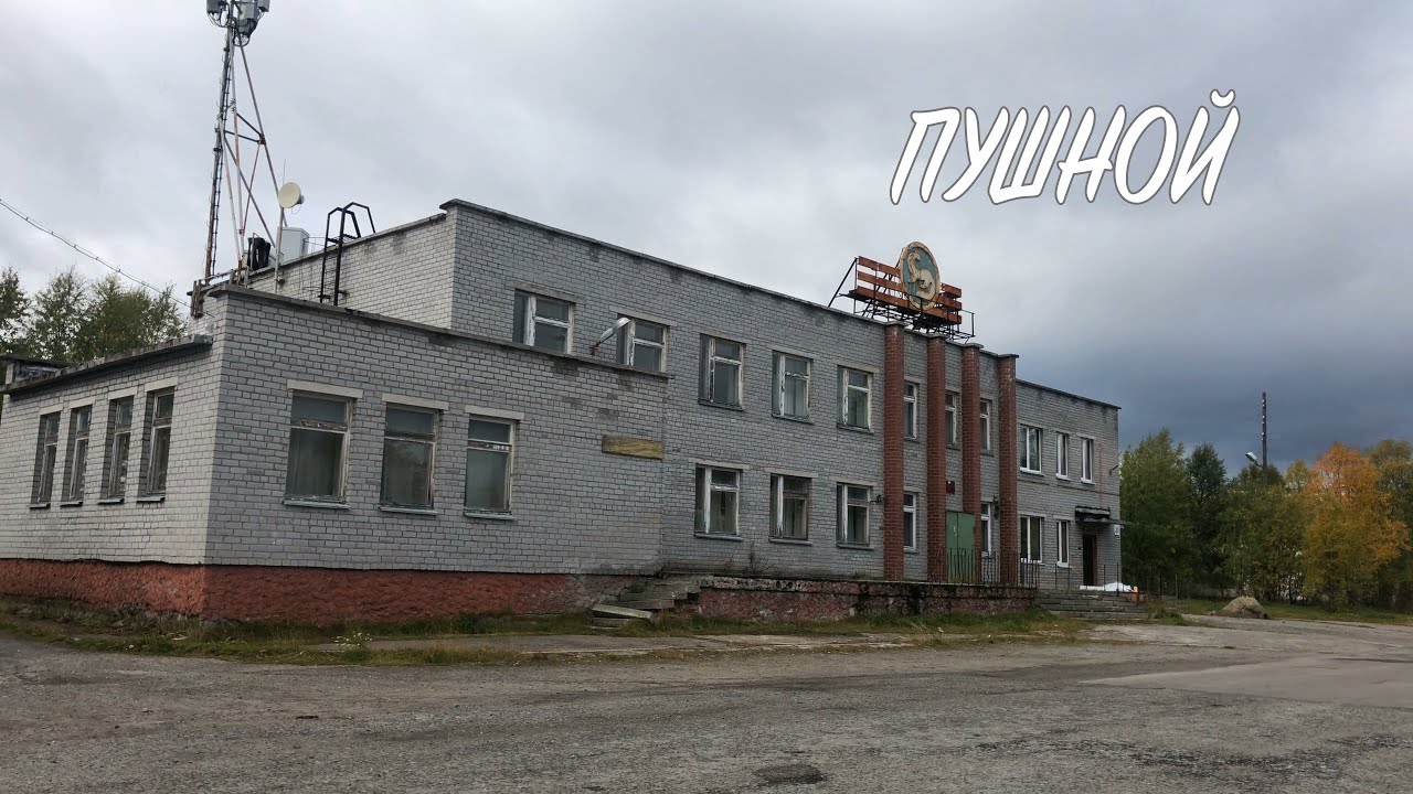 Пушной / 4К