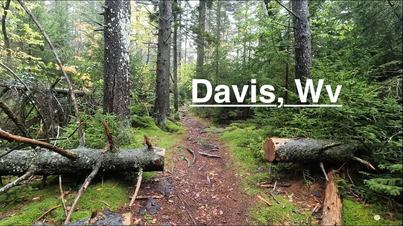 Scenic drive and hike exploring Davis, WV